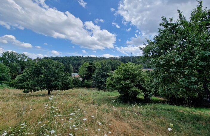 Terrain à vendre de 1271 m² orienté SUD sur la commune de MARCOUX, 2 minutes de BOEN et 15 minutes de MONTBRISON — photo 4
