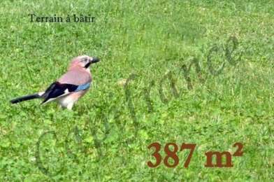 Terrain  20000 €