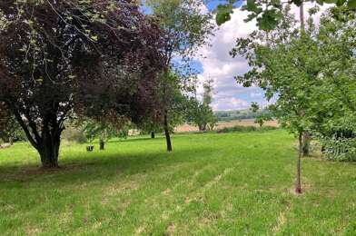 Terrain  62000 €