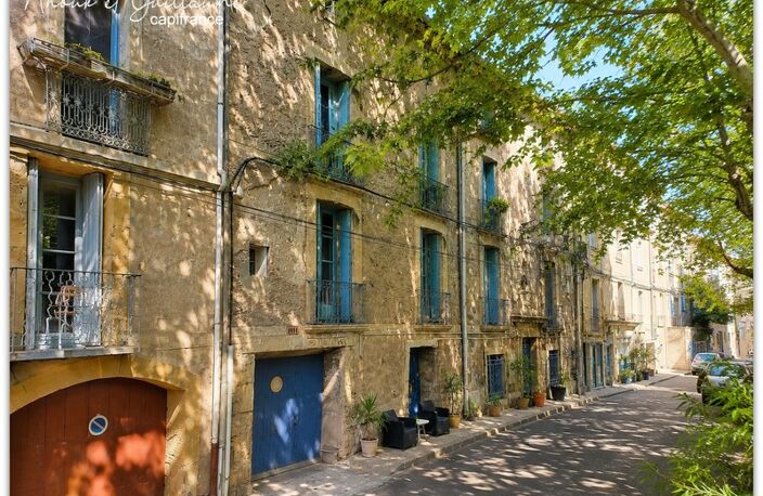 Immeuble 360m² habitable environ à vendre avec 6 appartements et double jardin - PEZENAS (34120) — photo 2