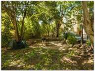 Immeuble 360m² habitable environ à vendre avec 6 appartements et double jardin - PEZENAS (34120) — photo 3