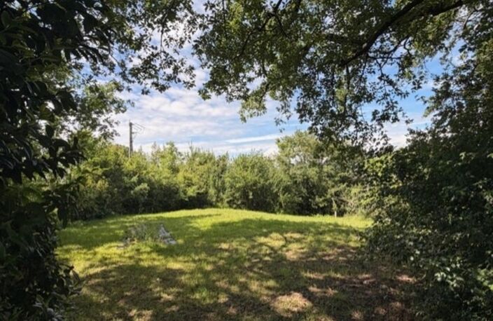 PLAISANCE (32)proche: BELLE MAISON DE CAMPAGNE rénovée 170m2,  économique, sans VOISIN, au CALME, jardin 3300m2 clos, dependances — photo 3
