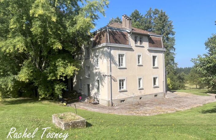 Secteur Fougerolles, Belle Maison bourgeoise  T9 sur terrain de 75 ares ! — photo 3