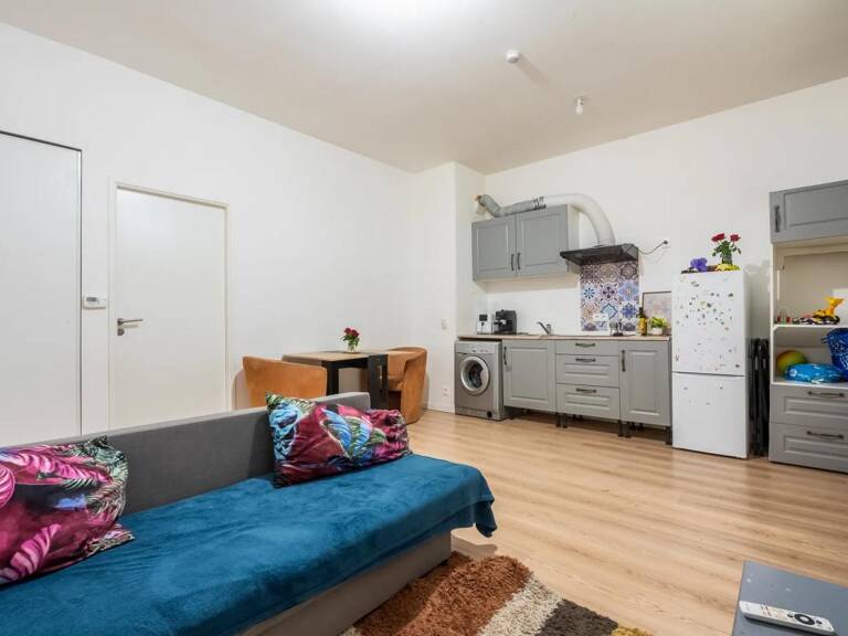 Bel appartement RDC à Romainville aux normes PMR — photo 1