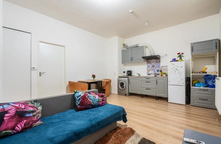 Bel appartement RDC à Romainville aux normes PMR — photo 4
