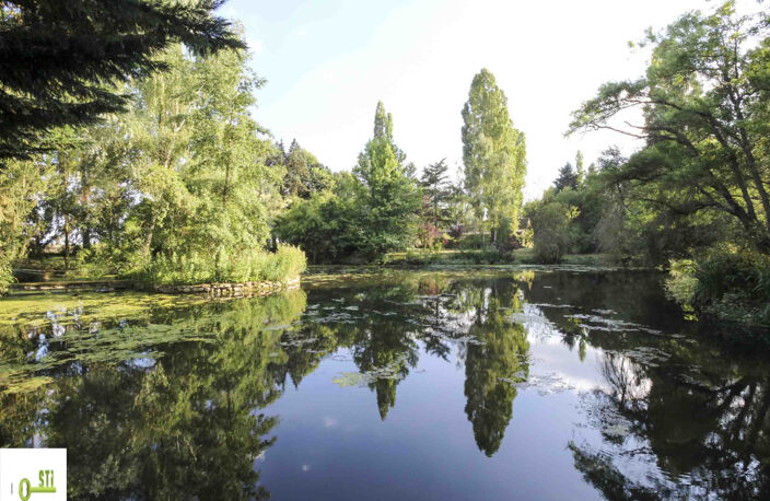 Longère de charme sur plus de 15000m2 de terrain avec mare — photo 3