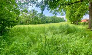 Terrain  9155 m² à vendre à Rieumes (31370)