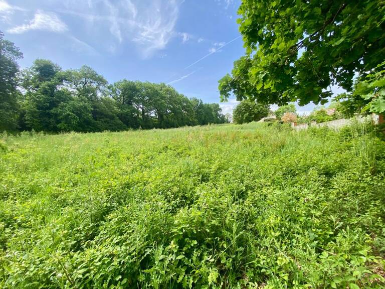 Terrain À Vendre — photo 1