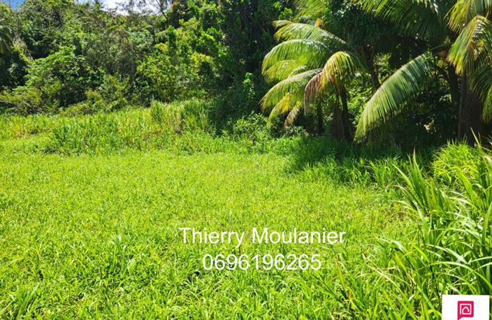 Trinité, Terrain constructible avec vue mer 11914 m2 — photo 2