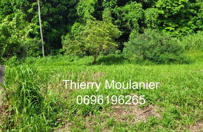 Trinité, Terrain constructible avec vue mer 11914 m2 — photo 3