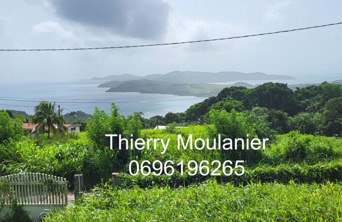 Trinité, Terrain constructible avec vue mer 11914 m2 — photo 4