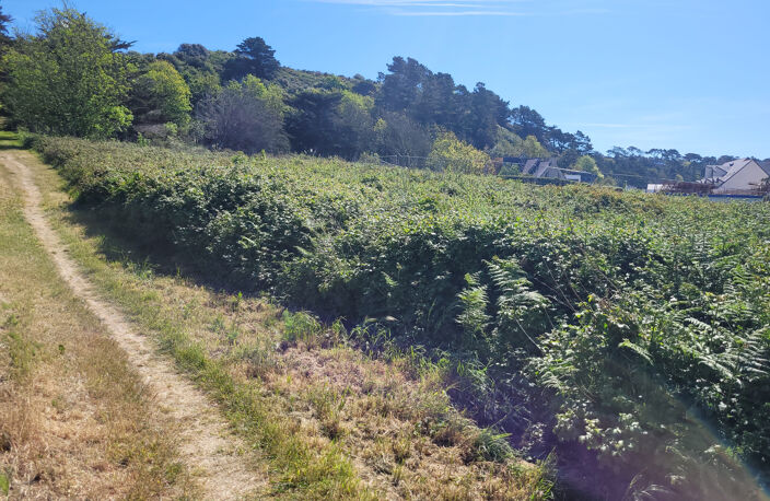 Terrain en FRONT de MER, rare opportunité .... plus de 13500 — photo 5