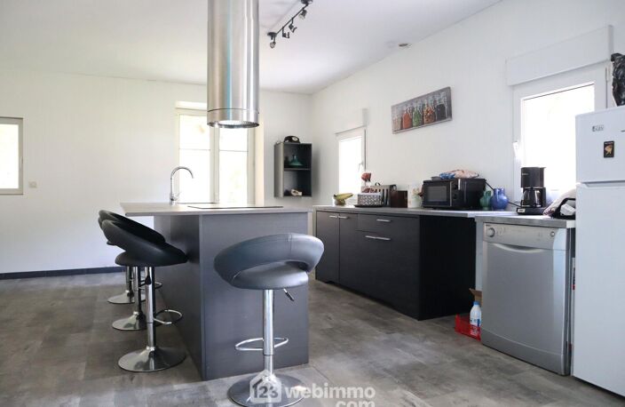 Maison - 390m² - Lussac-les-Châteaux — photo 5