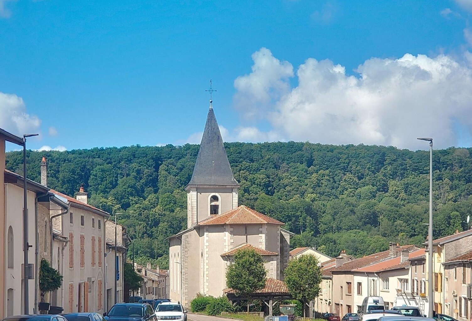Maison Lorraine avec jardin et Garage — photo 1