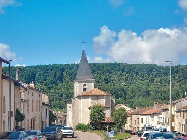 Maison Lorraine avec jardin et Garage — photo du bien