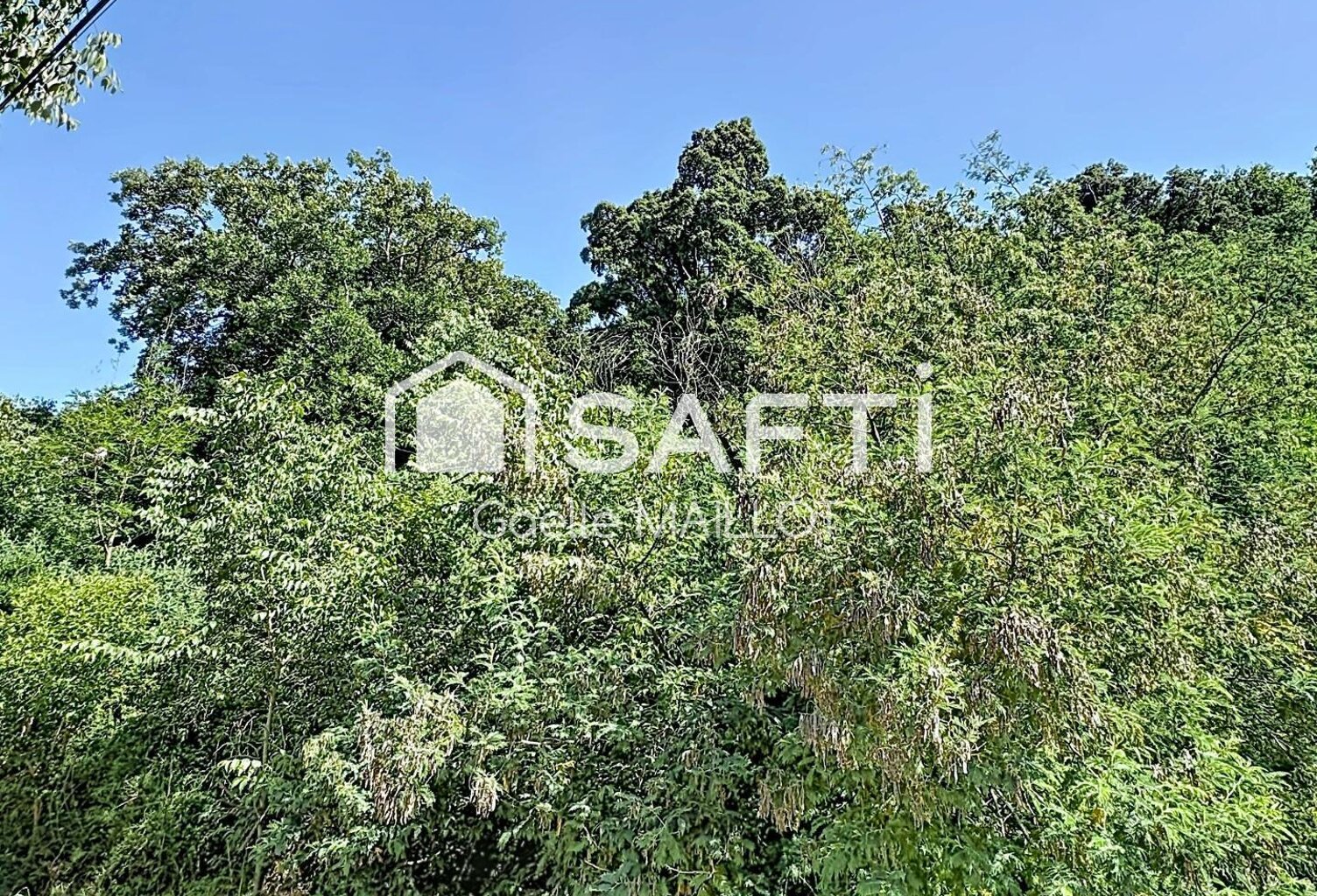 Grand terrain à bâtir avec forêt. — photo 1