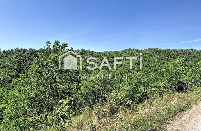 Grand terrain à bâtir avec forêt. — photo 5