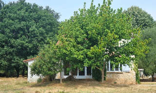 Maison 5 Pièces 89 m² à louer à Albias (82350)