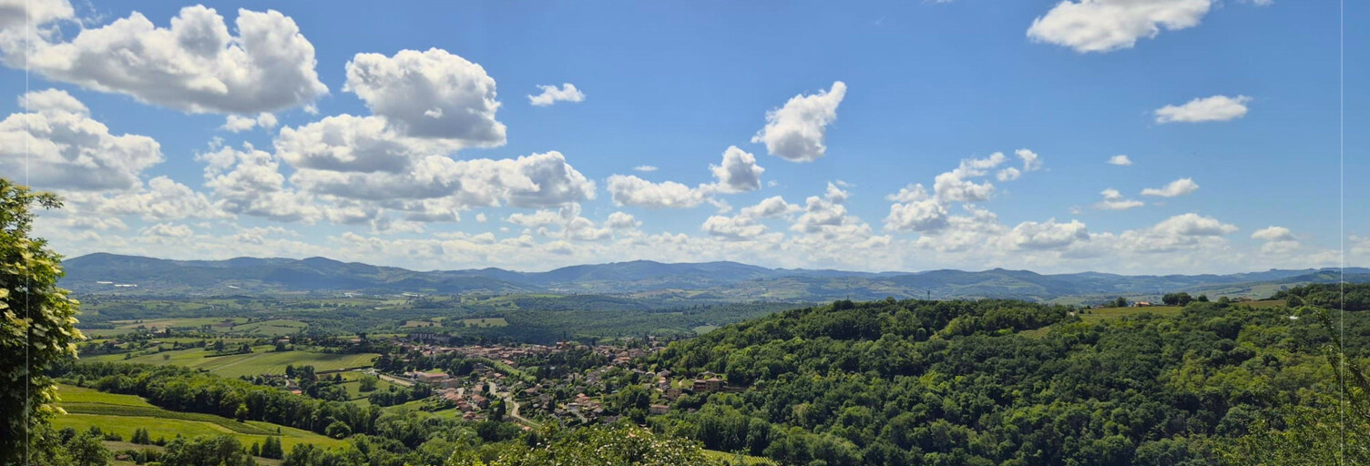 Maison 9 Pièces 270 m² à vendre à Val d'Oingt (69620)