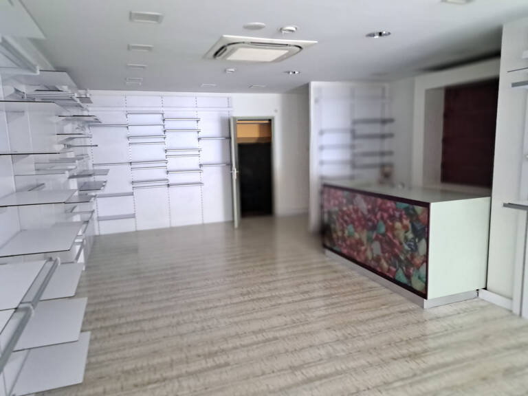 LOCAL PROFESSIONNEL — photo 1