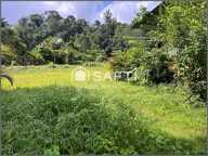 Terrain arboré avec rivière sur Roura — photo 2