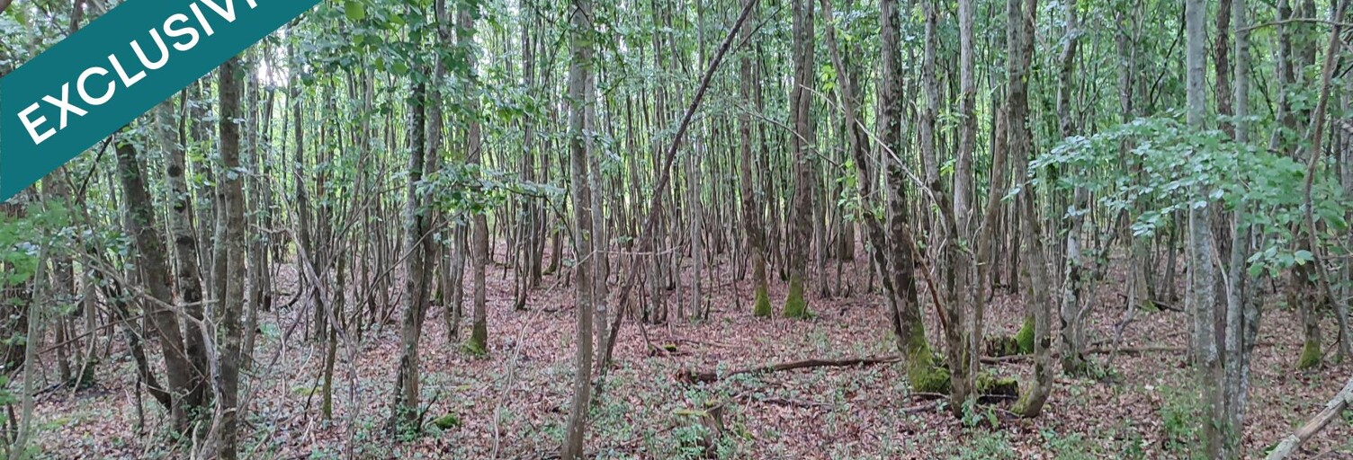 Terrain  19185 m² à vendre à Huismes (37420)