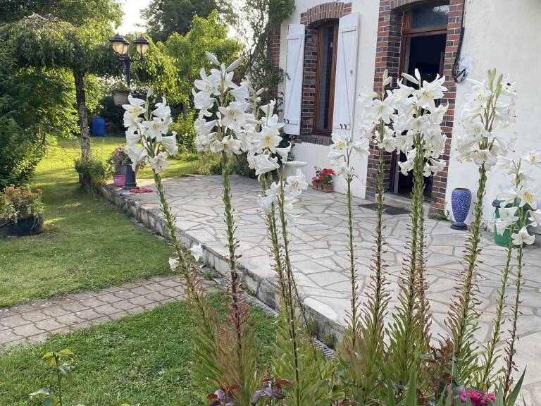 Vente Demeure 10 pièces — photo 1
