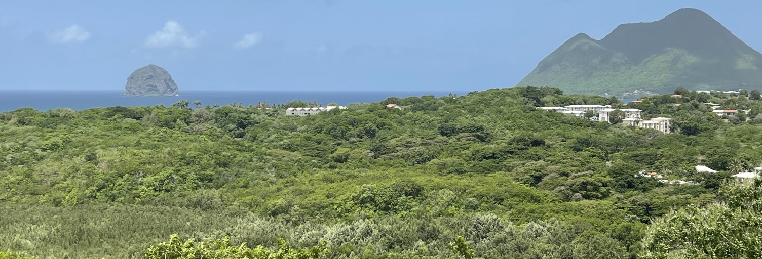 Maison 8 Pièces 388 m² à vendre à Le Diamant (97223)