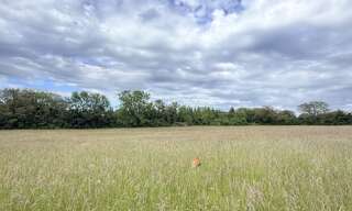 Terrain  22802 m² à vendre à Parisot (82160)