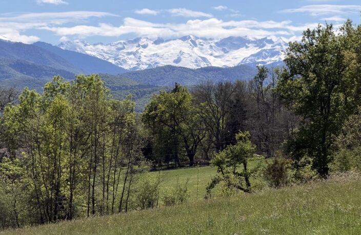 Vente Terrain à bâtir 3 235 m&sup2; — photo 3