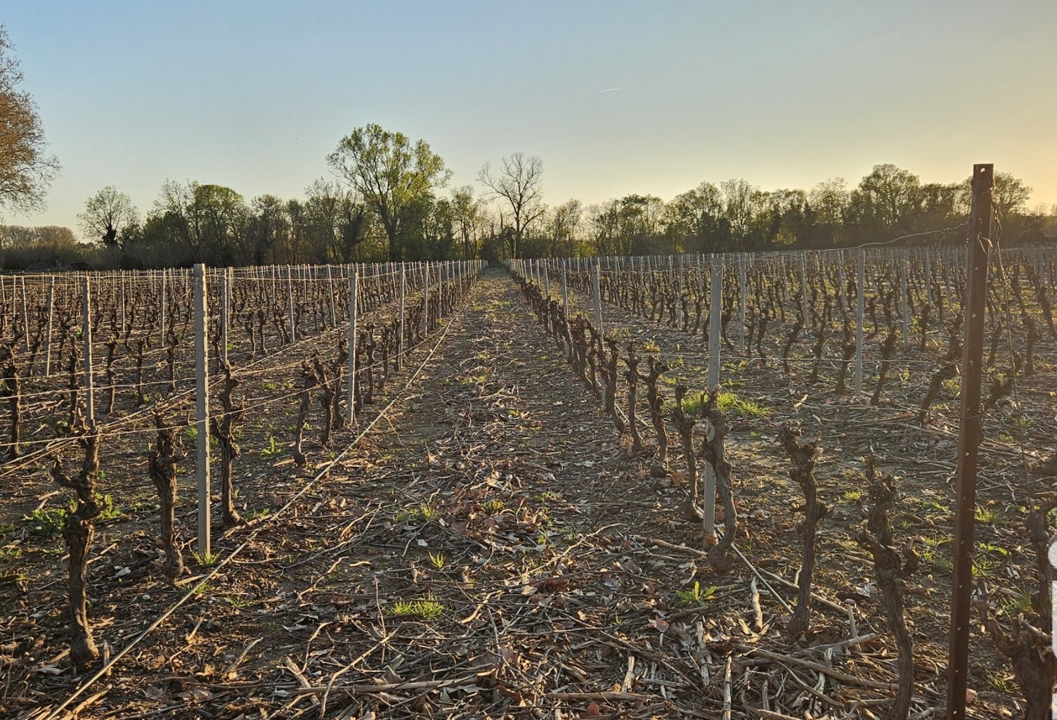 Vente Terrain agricole 238 795 m&sup2; — photo 1