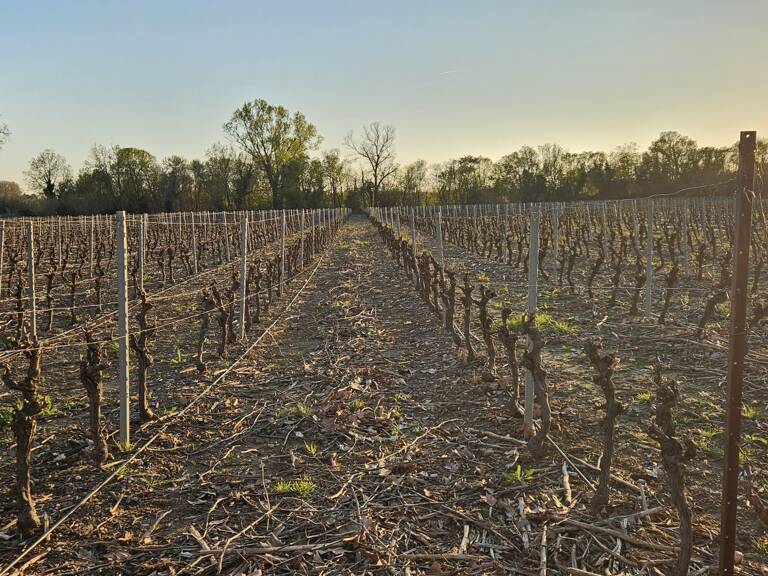 Vente Terrain agricole 238 795 m&sup2; — photo 1