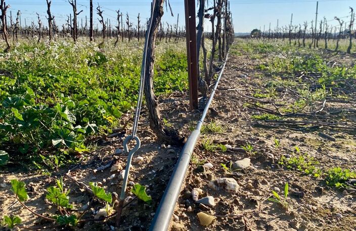 Vente Terrain agricole 238 795 m&sup2; — photo 5