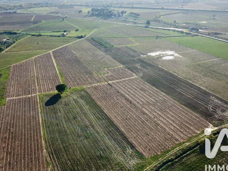 Vente Terrain agricole 238 795 m&sup2; — photo 1
