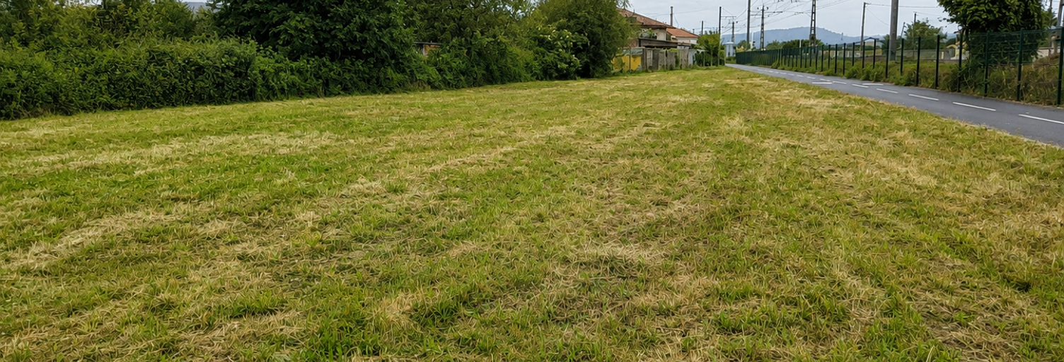 Terrain  2579 m² à vendre à Palaminy (31220)