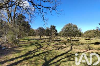 Terrain  55000 €