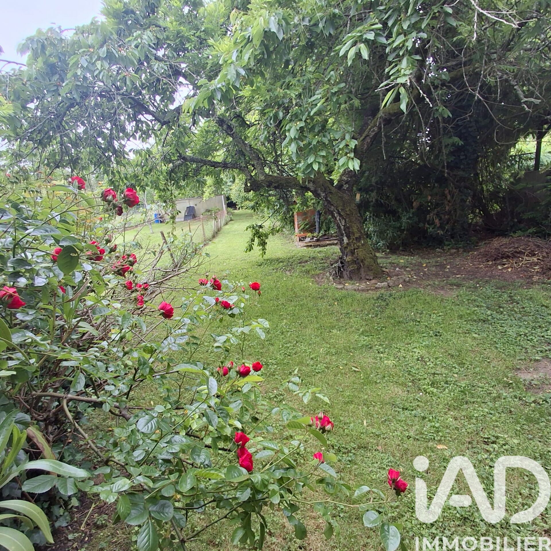 Maison à vendre, 6 pièces, 139 m², Fronton