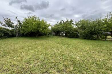 Terrain  66780 €