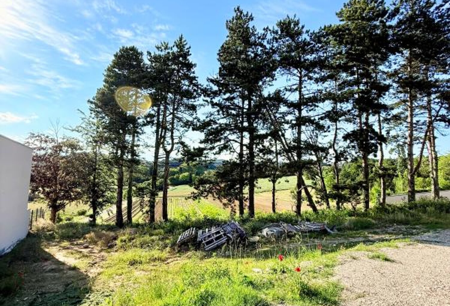 Terrain À Vendre — photo 1