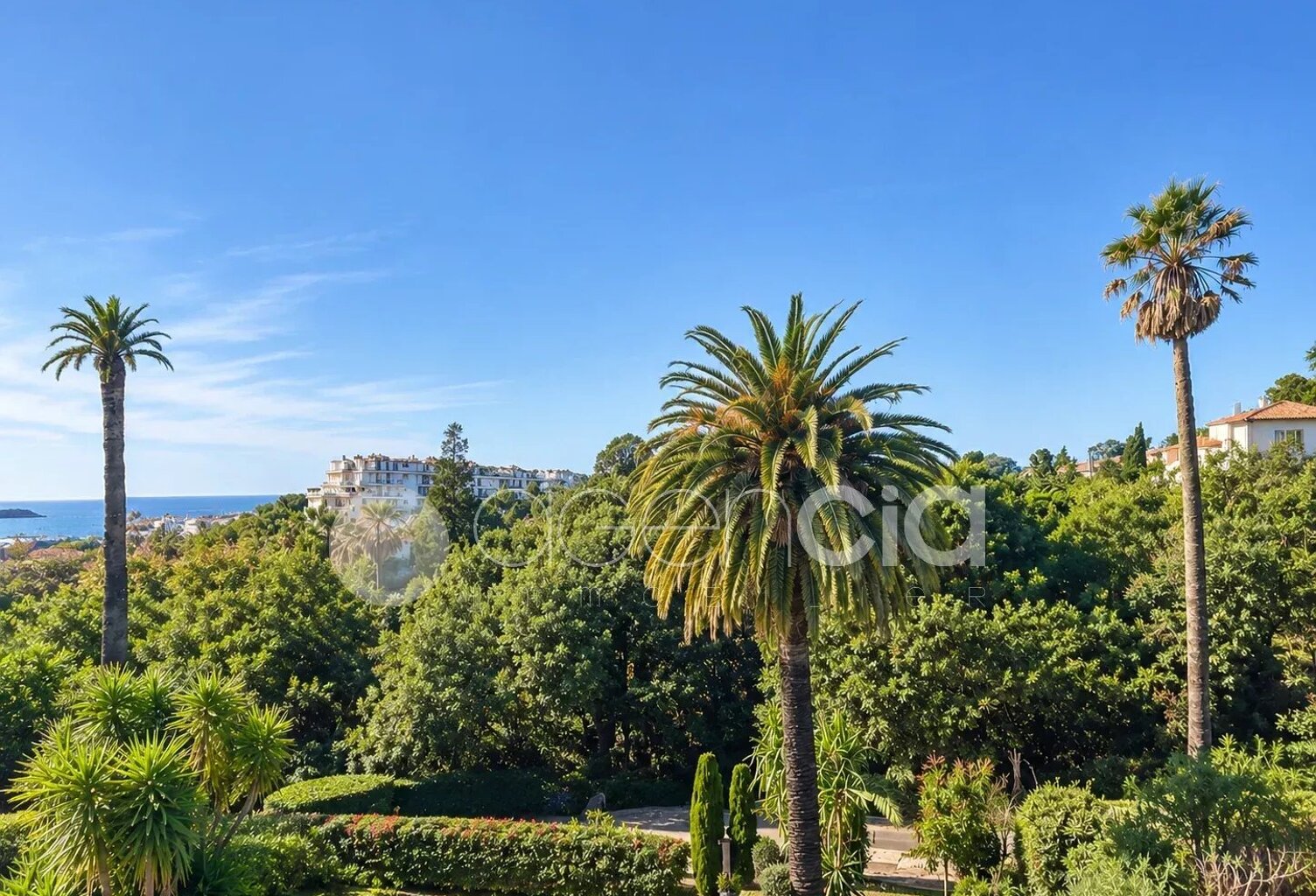 Cannes Californie - Appartement 2 pièces Avenue de la Favorite — photo 1