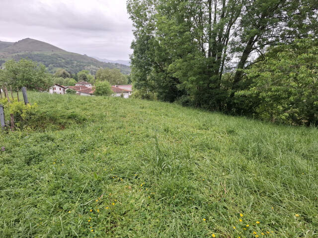 à 10 mn de St-Jean-Pied-dePort, beau terrain à bâtir — photo du bien