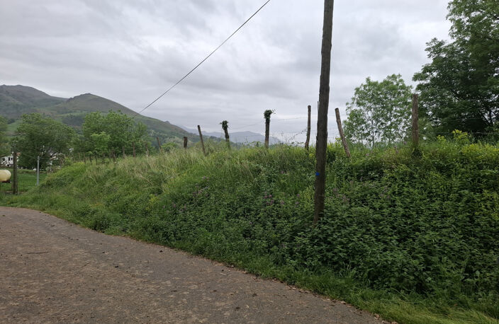 à 10 mn de St-Jean-Pied-dePort, beau terrain à bâtir — photo 3