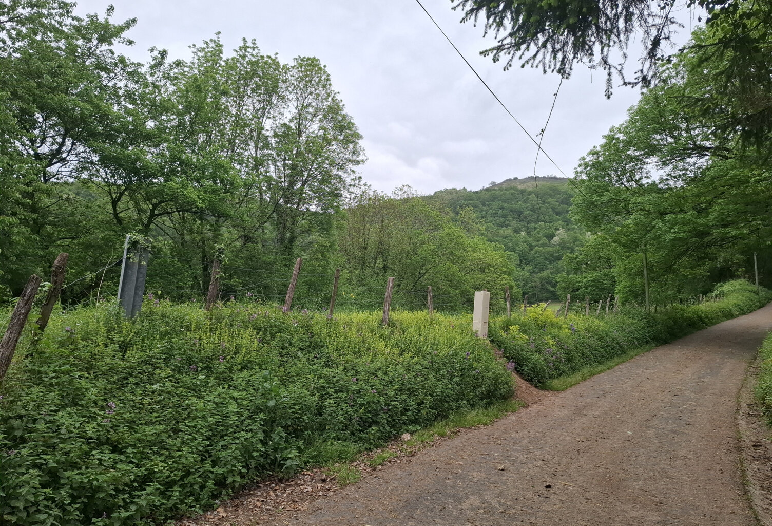Beau terrain viabilisé à 10 mn de St-Jean-Pied-de-Port. — photo 1