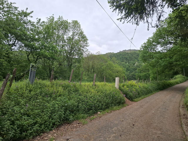 Beau terrain viabilisé à 10 mn de St-Jean-Pied-de-Port. — photo du bien