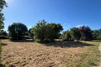 Terrain  299600 €