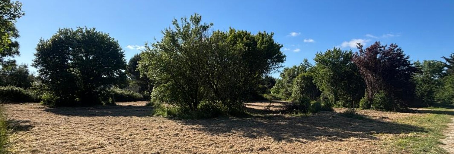 Terrain  3649 m² à vendre à Saint-Georges-d'Oléron (17190)