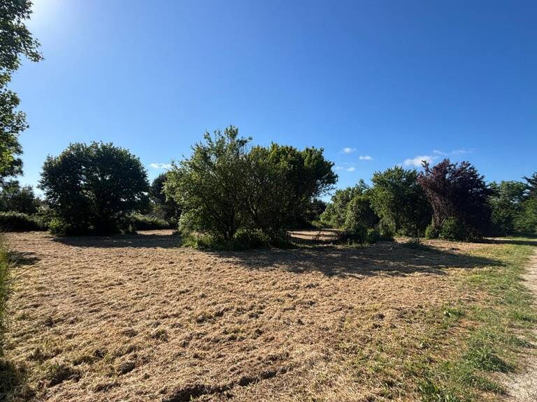 Terrain À Vendre — photo 1