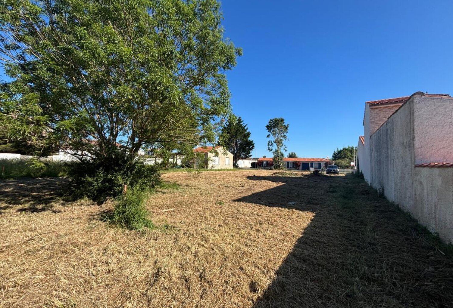 Terrain À Vendre — photo 1