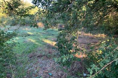 Terrain  135000 €