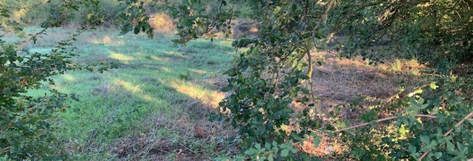 Terrain 750 m² à construire Brue-Auriac (83119)